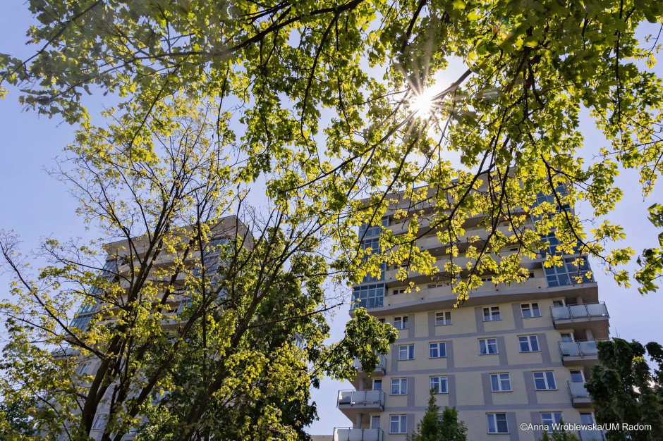 W Radomiu powstanie trzeci w mieście dom usamodzielnienia dla dzieci (fot. ilustr. radom.pl) W Radomiu powstanie trzeci w mieście dom usamodzielnienia dla dzieci (fot. ilustr. radom.pl)
