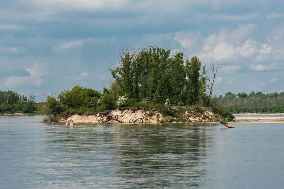 Na terenie mazowieckiego odcinka Wisły znajduje się 13 rezerwatów przyrody i dwa obszary Natura 2000 (fot. Adrian Grycuk/CC BY-SA 3.0 pl,) Na terenie mazowieckiego odcinka Wisły znajduje się 13 rezerwatów przyrody i dwa obszary Natura 2000 (fot. Adrian Grycuk/CC BY-SA 3.0 pl,)