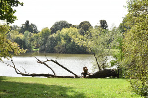 Zabytkowy park w Warszawie może zostać odnowiony jeszcze w tym roku