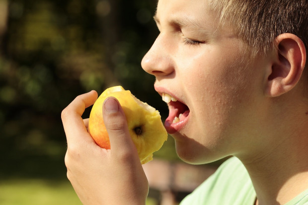 „Program dla szkół” ma kształtować prawidłowe nawyki żywieniowe u dzieci (fot. pixabay/sipa)