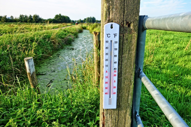 W lipcu odnotowano najwyższą średnią temperaturę na powierzchni ziemi w historii pomiarów (fot. Pixabay)