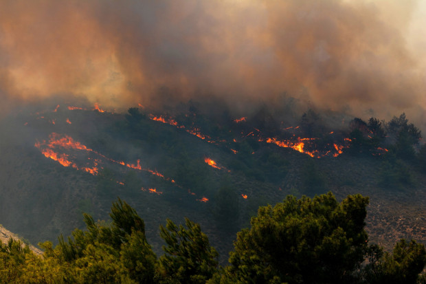 Pożary na Rodos, która jest jedną z wysp, która najbardziej ucierpiała w wyniku pożarów lasów. Ewakuowano z niej również polskich turystów (fot. PAP/EPA/Lefteris Damianidis)