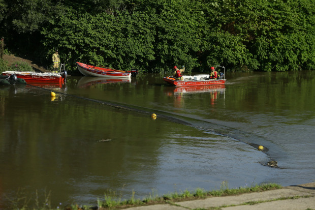 Śnięcie ryb następuje na 4-kilometrowym odcinku Odry, od ujścia rzeki Stróżki - ustalili Czesi (fot. PAP/Zbigniew Meissner)