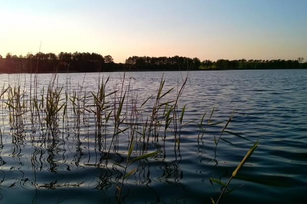 Według NIK nadzór nad gospodarowaniem jeziorami w Polsce jest nieprawidłowy i nieskuteczny (fot. Adobestock)