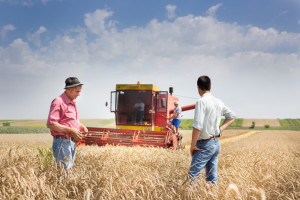 Badaniami rolniczymi objęci są faktyczni użytkownicy gospodarstwa rolnego (fot. shutterstock)