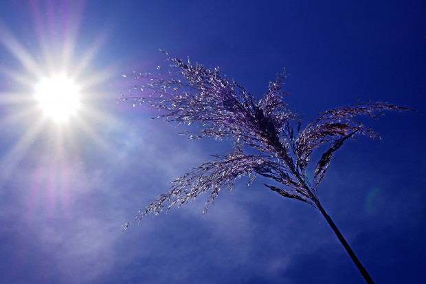 Alert obowiązuje od wczesnego popołudnia w poniedziałek do czwartkowego wieczora (fot. Pixabay/Yves Bernardi)