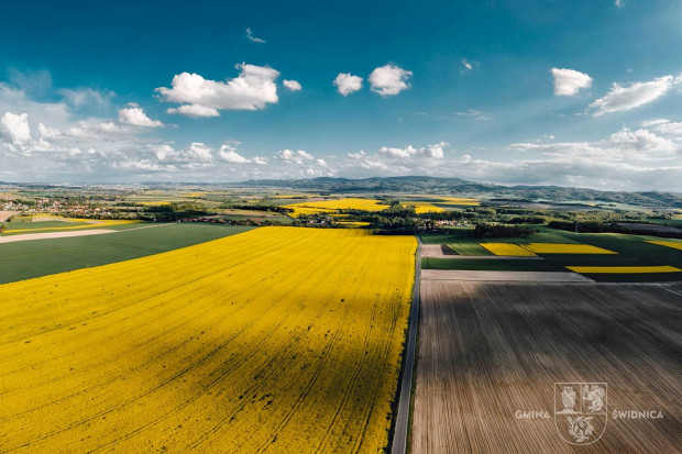 Gminy mają niespełna 2,5 roku na przygotowanie planów ogólnych (Fot. Gmina Świdnica)