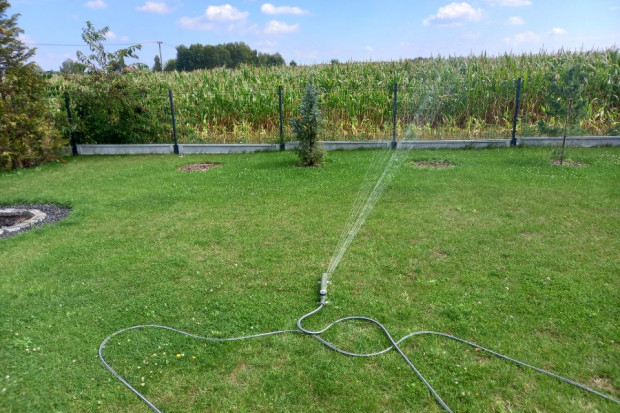 Zakazy podlewania ogródków wprowadza się w tych gminach, którym grozi brak wody (Fot. PTWP/Jacek Krzemiński)
