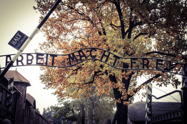 Konserwatorzy usuwają skutki wichury, która uszkodziła historyczne słupy ogrodzenia byłego niemieckiego obozu Auschwitz I (fot. pixabay)