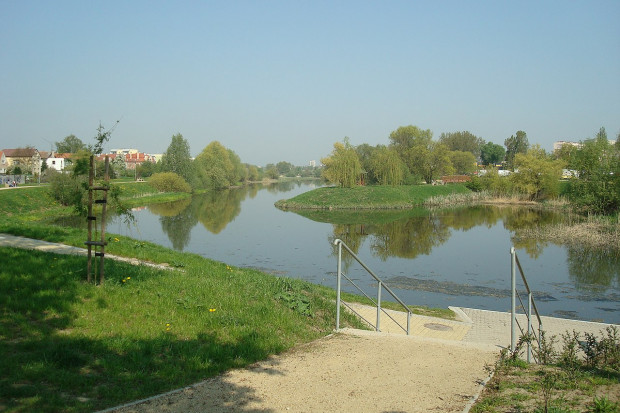 Jezioro Słoneczne na szczecińskim osiedlu Gumieńce (fot.commons.wikimedia.org/Jan Bartnicki/CC BY 3.0)