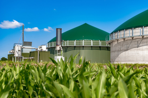 13 września zaczynają obowiązywać zapisy ustawy o ułatwieniach w przygotowaniu i realizacji inwestycji w zakresie biogazowni rolniczych (fot. Shutterstock)