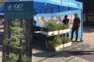 Na Śląsku ekolodzy rozdają sadzonki drzew i kwiatów za surowce wtórne