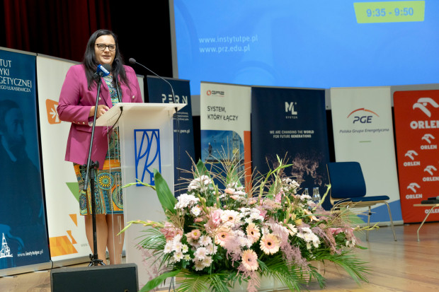 Przeznaczymy ok. 22 mld euro z Polityki Spójności m.in. na efektywność energetyczną - powiedziała Małgorzata Jarosińska-Jedynak (fot. twitter.com/M_Jarosinska)