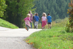 OC zawodowe nauczyciela chroni go zarówno na terenie szkoły, w trakcie zajęć pozalekcyjnych, wyjść poza szkołę, jak i wyjazdów z uczniami (Fot. Pixbay)
