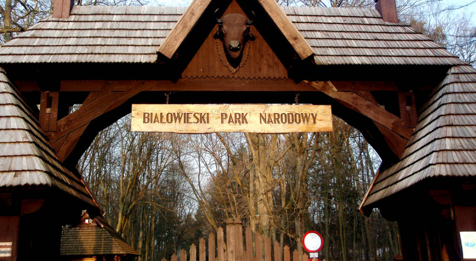 Chcą powiększyć park narodowy i utworzyć kolejny. Tym razem ma się udać