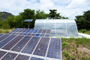 Obywatelskie społeczności energetyczne stoją w miejscu. Ekolodzy oskarżają rząd, że nic nie robi