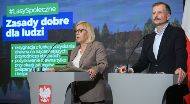 W wybranych miastach powstaną lasy społeczne. Ustawa ma być gotowa w 2026 r.