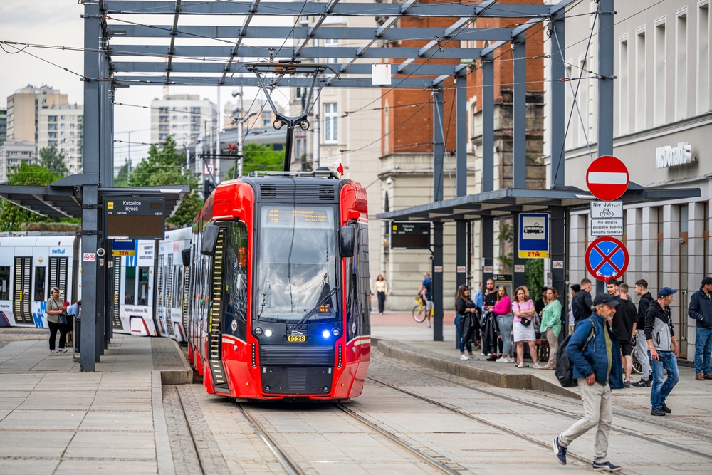 Il trasporto GZM si basa sull'integrazione di più sistemi (foto: shutterstock/bieszczady_wildlife)