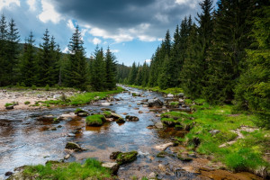 Poznaliśmy najczystsze rzeki i jeziora w Polsce. Jak wypoczywać, to tylko tam