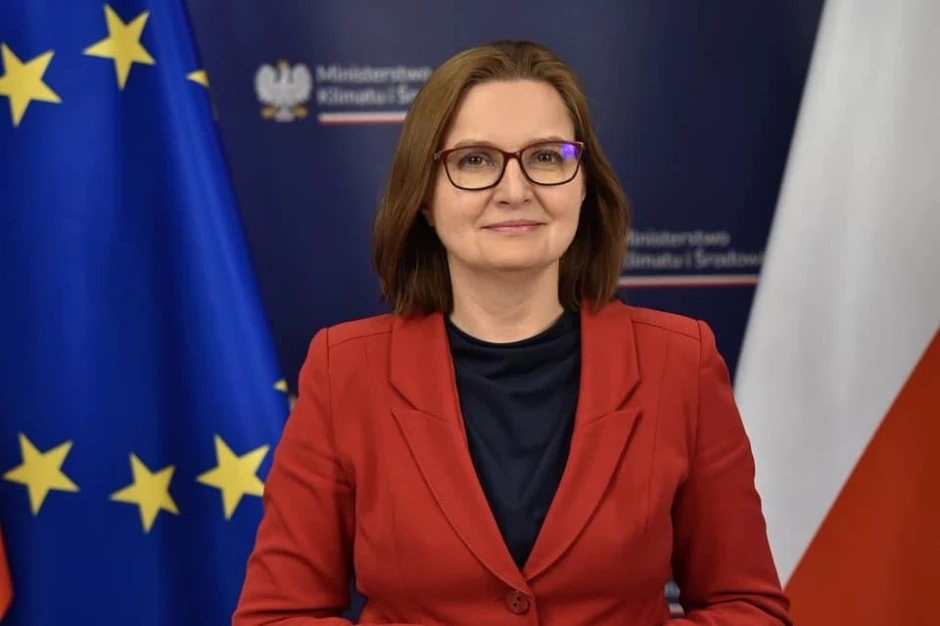 Anita Sowińska, Vice-Ministra da Cultura e do Ambiente