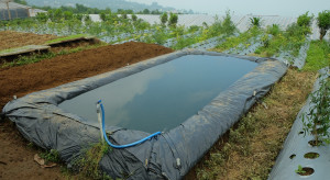 Adaptacja do zmian klimatu kluczowym wyzwaniem miast. Są pieniądze na gospodarkę wodami opadowymi
