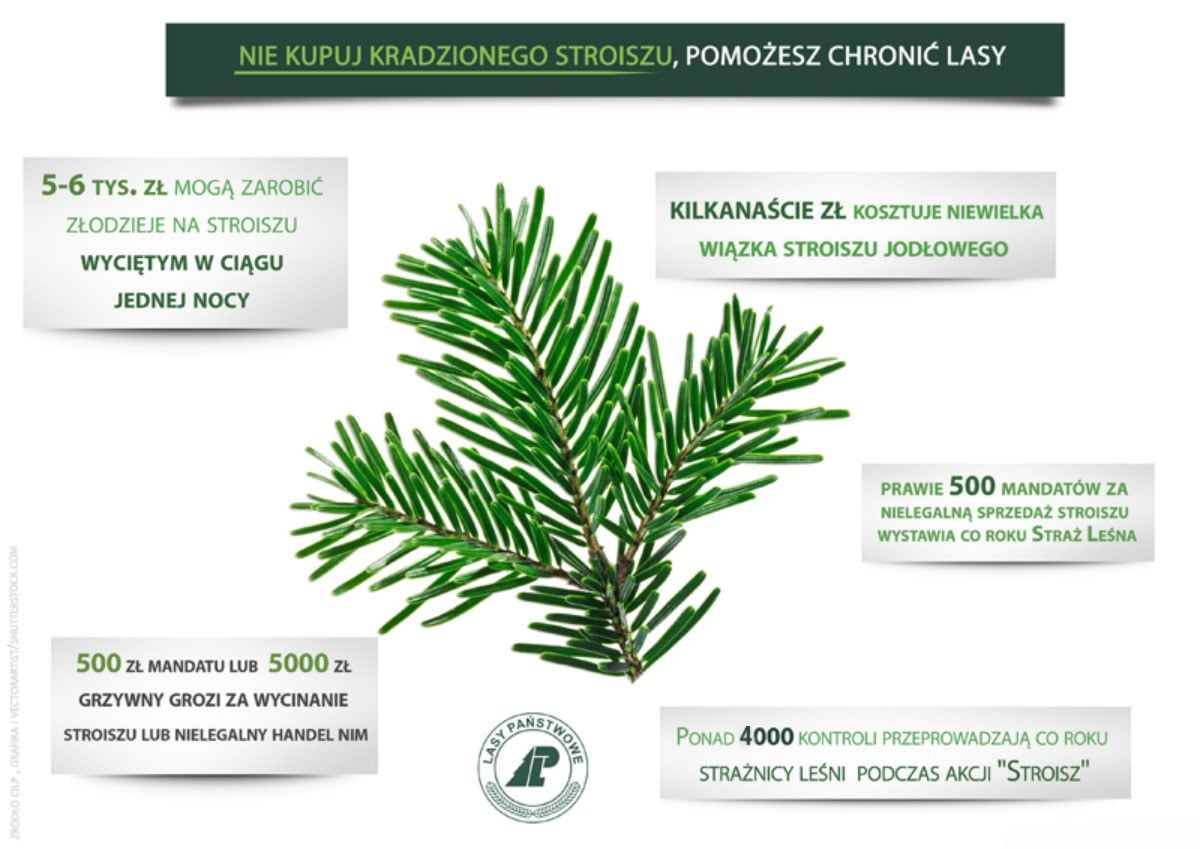 Action Stroisz (source: State Forests)