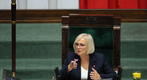 Nadchodzi zakaz fajerwerków. Posłowie szykują dwa warianty