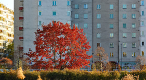 Koniec nagłych skoków rat. Nadchodzą nowe zasady kredytów na mieszkanie