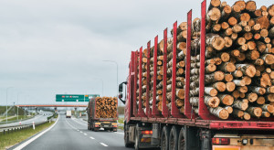 Ciężarówki z drewnem niszczą lokalne drogi. Samorządy chcą zmian w finansowaniu remontów