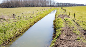 Zmiany klimatu testują polską meliorację. Samorządy oczekują gruntownej reformy