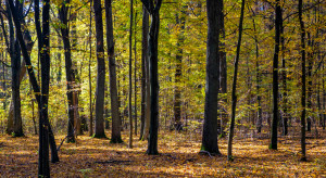 Reforma dotycząca inspekcji ochrony środowiska. Administracja zostanie odciążona