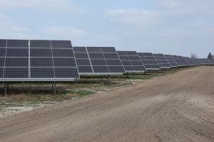 Zbudują największą farmę fotowoltaiczną w Polsce. Zasili energią 400 tysięcy gospodarstw