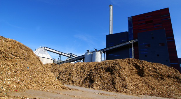 Kończy się czas na biomasę. "Projektowane przepisy grożą istotnym wzrostem cen"