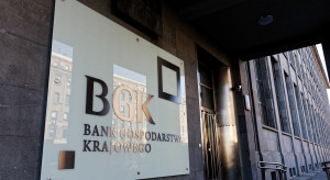 Nowe narzędzia już w drodze. Nadchodzą kolejne formy finansowania z BGK