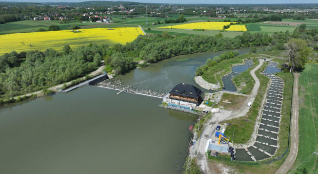 Najstarszy rodzaj OZE wraca do łask. O transformacji energetycznej w Polsce porozmawiamy podczas EEC 2026