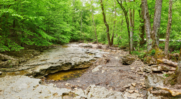 Śnieżna zima nie zatrzymała suszy. Dyskusja o zasobach wodnych na EEC 2026