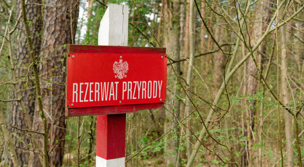 Nowe prawo zablokuje ochronę przyrody? "Projekt krzywdzący samorządy"