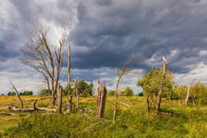 Zmiany klimatu mają różne oblicza. Wśród nich jest susza, powodzie i gwałtowne burze
