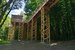 Grzyb zjadł słynną atrakcję turystyczną. Konstrukcja za 4 mln zł do rozbiórki