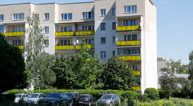 Próg 1000 zł i wycięte umowy o pracę. Nie wszystko w spółdzielniach będzie jawne