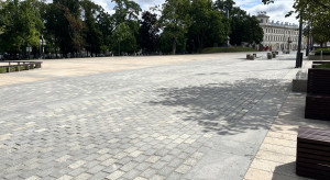 Beton zamiast drzew, parkingi zamiast cienia. Polskie miasta przegrywają z upałami