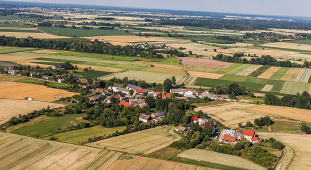 W Polsce przybędą nowe miasta, zmienią się granice gmin. Powody zaskakują