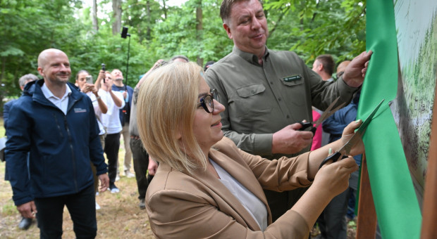 Pierwsza aglomeracja ma lasy społeczne. Zyskają mieszkańcy i przyroda