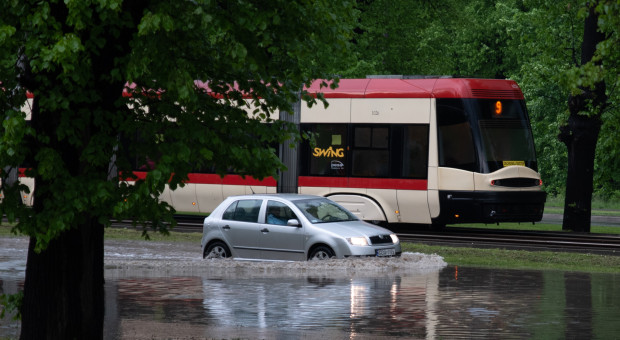 Jedna czwarta rocznych opadów w dobę. Miasta muszą przygotować się na nową rzeczywistość