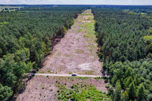 620 km z południa nad morze. Rozpoczęła się budowa nowej drogi ekspresowej