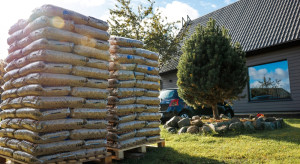 Tani pellet raczej już nie wróci. "Właściciele kotłów mogą czuć się nabici w butelkę"