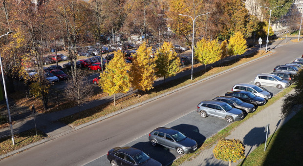 Miejsca parkingowe i gromadzenie odpadów po nowemu. Wchodzą zmiany w planach miejscowych