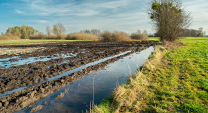 Odporność państwa to nie tylko armia i ochrona granic. Gminy chcą bezpieczeństwa klimatycznego