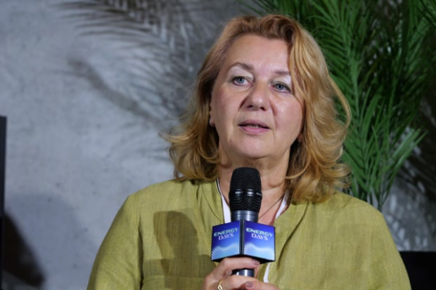 Joanna Kulczycka z Wydziału Zarządzania Akademii Górniczo-Hutniczej, członkini International Resource Panel i Rady Klimatycznej UN Global Compact Network Poland